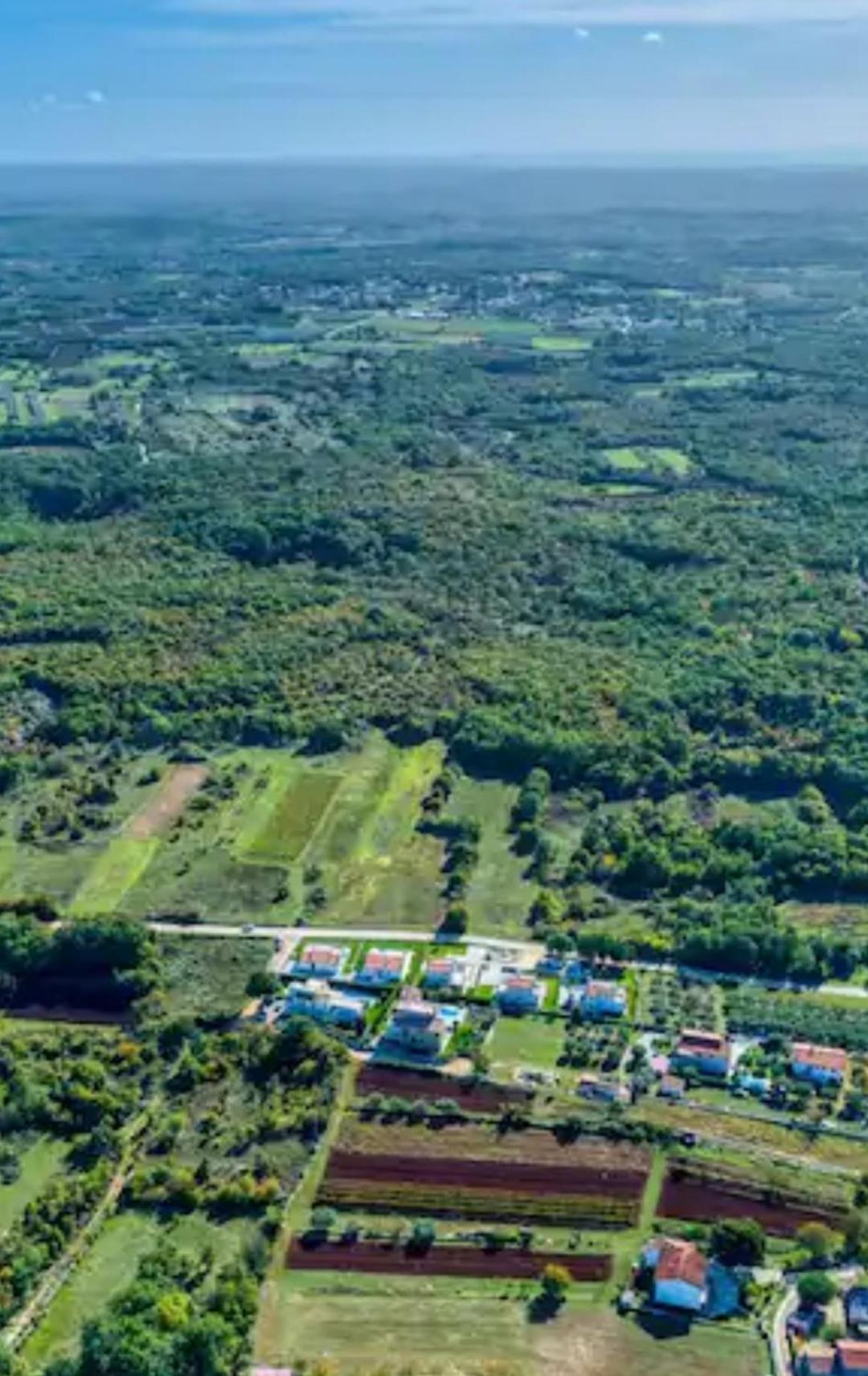 Villa Oskar Istrien Sveti Lovreč Pazenatički 外观 照片