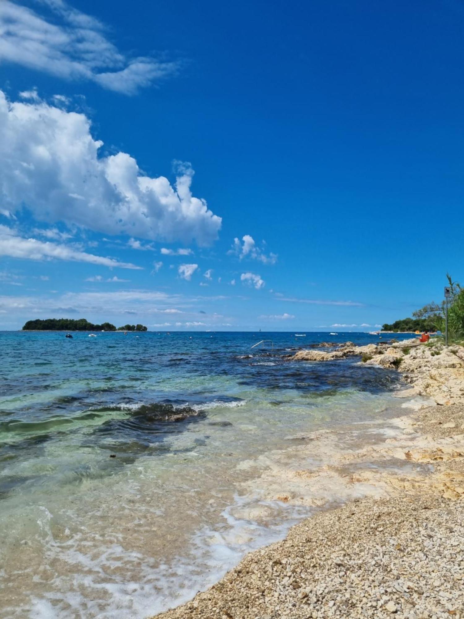 Villa Oskar Istrien Sveti Lovreč Pazenatički 外观 照片